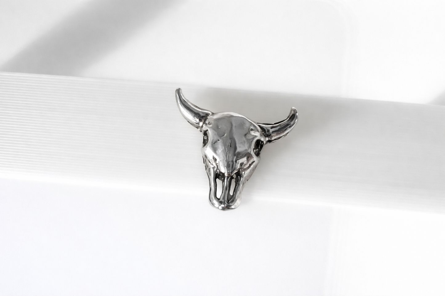 High Desert Skull Studs
